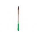 Stylo bille PILOT Bps Matic Fin Vert