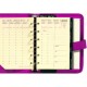 ORGANISEUR CIVILE QUO VADIS TIMER 14 PRESTIGE CLUB ROUGE 8X12,5