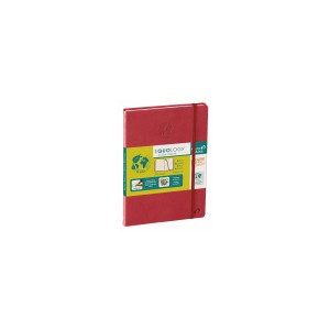 NOTES QUO VADIS CARNET 24 R LIGNE EQUOLOGY ROUGE CERISE 16X24