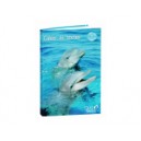 AGENDA QUO VADIS CAHIER DE TEXTES USHUAIA JUNIOR 15X21
