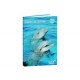 AGENDA QUO VADIS CAHIER DE TEXTES USHUAIA JUNIOR 15X21