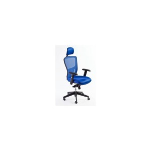 Fauteuil Synchrone En Mailles Bleues Avec Appui-T&ecirc;te R&eacute;glable