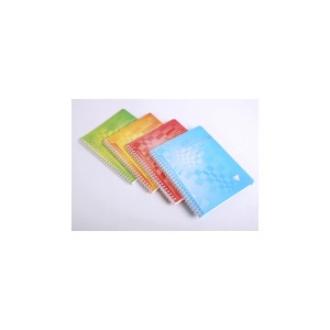 "Cahier de Textes Clairefontaine ""Crystalline"" - Format 17x22 - 144 pages - Grands carreaux"