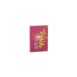NOTES QUO VADIS REPERTOIRE 15 ROBERT LE HEROS FRAMBOISE 10X15