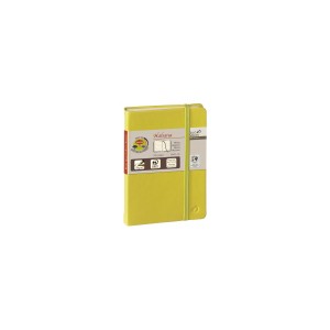 NOTES QUO VADIS CARNET 15 LIGNE HABANA VERT ANIS 10X15