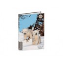 AGENDA SCOLAIRE QUO VADIS TEXTAGENDA USHUAIA JUNIOR 12X17