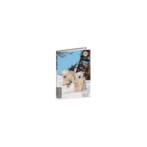 AGENDA SCOLAIRE QUO VADIS TEXTAGENDA USHUAIA JUNIOR 12X17