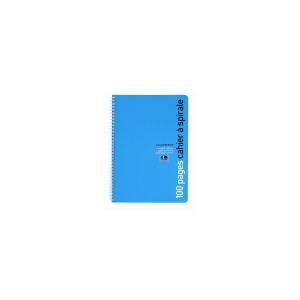 Cahier 21X29,7 cm NF Environnement