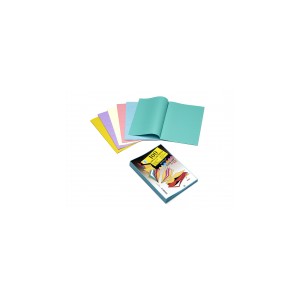 100 Sous-Chemises 60 gr Pastels Bleu