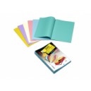 100 Sous-Chemises 60 gr Pastels Vert