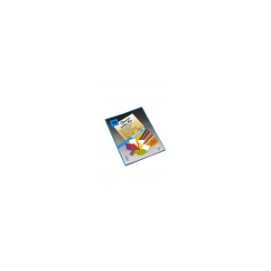 10 Chemises Rock's Assorties