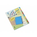 Intercalaires Mensuel 12 positions A+ (245x305)
