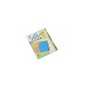 Intercalaires Mensuel 12 positions A+ (245x305)