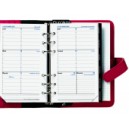 ORGANISEUR CIVILE QUO VADIS TIMER 17 HORIZONTAL 10X17
