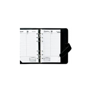 ORGANISEUR SCOLAIRE QUO VADIS TIMER 17 1JOUR PAR PAGE 10X17