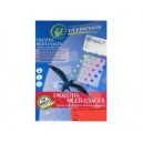 ETIQUETTES ADHESIVES MULTI-USAGES COULEUR ROUGE