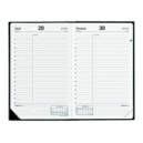 AGENDA CIVILE QUO VADIS ABP 1 IMPALA ASSORTIS 13X21