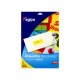 Etiquettes 210x297mm multi-usage bleu