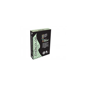 Papier recycl&eacute; vert clair Clairefontaine Evercolor A4 80g 500 feuilles