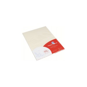 Feuilles simples rectangle 210x297 MM v&eacute;lin nacr&eacute; 120GR X20