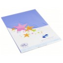Cartes simples rectangle 210x297 MM myosotis 170GR X20