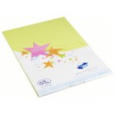 Cartes simples rectangle 210x297 MM anis 170GR X20