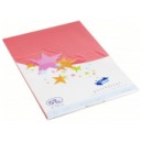 Cartes simples rectangle 210x297 MM cam&eacute;lia 170GR X20