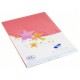 Cartes simples rectangle 210x297 MM camélia 170GR X20