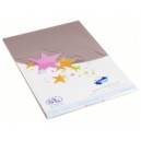 Cartes simples rectangle 210x297 MM taupe 170GR X20