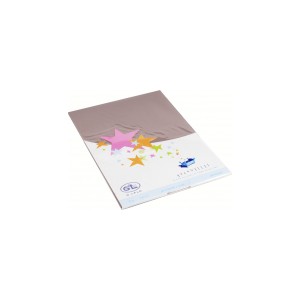 Cartes simples rectangle 210x297 MM taupe 170GR X20