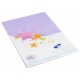 Cartes simples rectangle 210x297 MM lilas 170GR X20