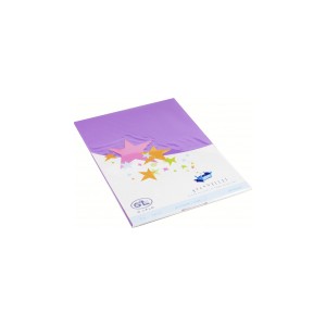 Cartes simples rectangle 210x297 MM violette 170GR X20