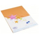 Cartes simples rectangle 210x297 MM melon 170GR X20