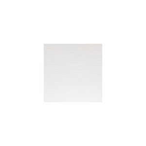 Feuilles simples rectangle 210x297 MM verg&eacute; ivoire 160GR X100