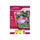PAPIER PHOTO 220grs 2 FACES: recto BRILLANT/ verso COUCHE MAT imprimable
