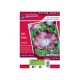 PAPIER PHOTO 200grs COUCHE MAT 2 FACES recto/verso