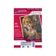 PAPIER PHOTO 260grs SATINE MAT 1 FACE