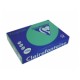 Papier vert sapin Clairefontaine Trophée A4 160g 250 feuilles