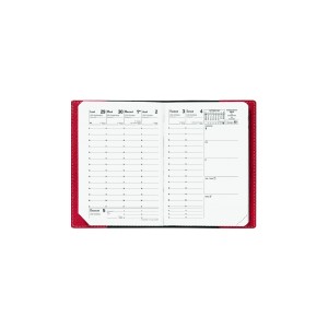 AGENDA SCOLAIRE QUO VADIS UNIVERSITAIRE IMPALA NOIR 10X15